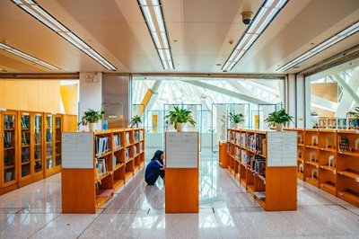 2022年深圳图书馆清明节开放吗
